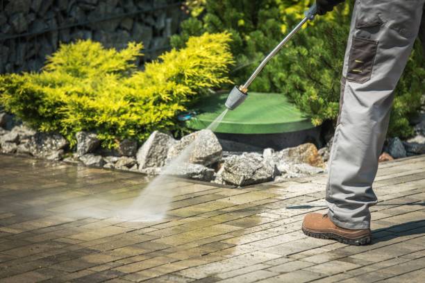 Best Animal Enclosure Cleaning  in Sunray, TX